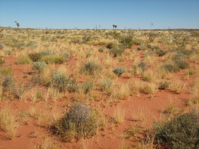 View to west of confluence