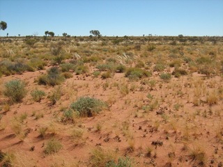 #1: View to north of confluence