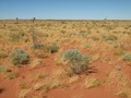 #3: View to south of confluence