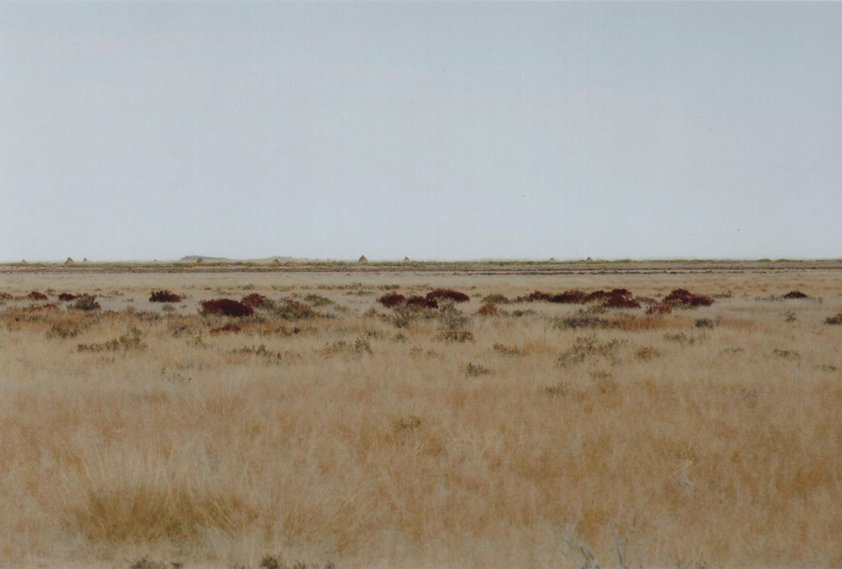 View from confluence - those red hills you see are BIG ant hills.