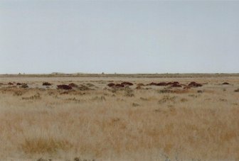 #1: View from confluence - those red hills you see are BIG ant hills.