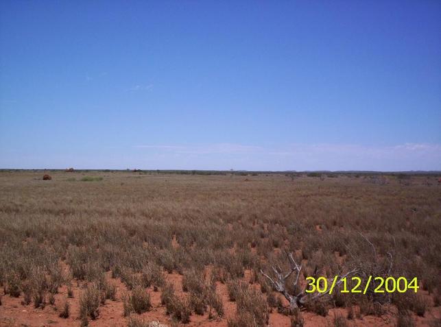 Cardabia Station Country