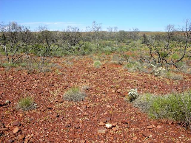 View of the confluence looking south west.