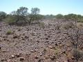 #3: View from the confluence looking east