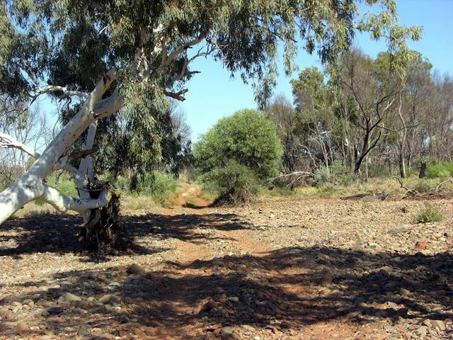 The track crosses Kangaroo Creek, about 7.4km south of the confluence.