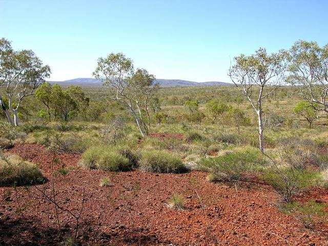 View from the confluence looking north.