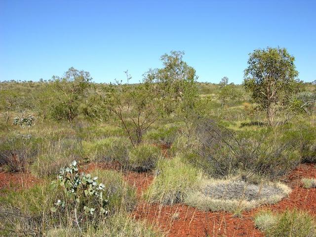 View from the confluence looking east