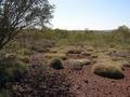 #5: View from the confluence looking west