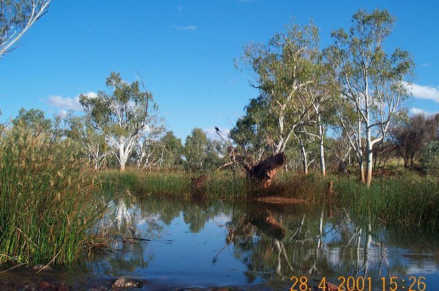 Fortescue River closed to Opthalmia Dam