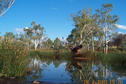 #9: Fortescue River closed to Opthalmia Dam