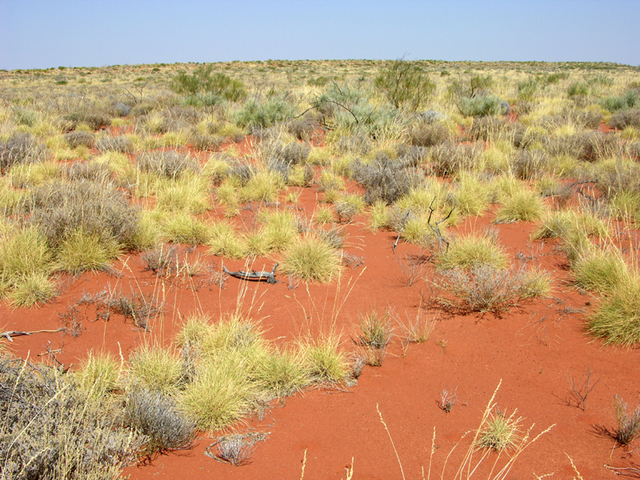 View of the confluence looking south west.