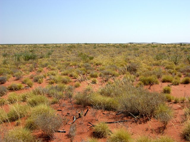 View from the confluence looking north