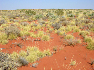 #1: View of the confluence looking south west.