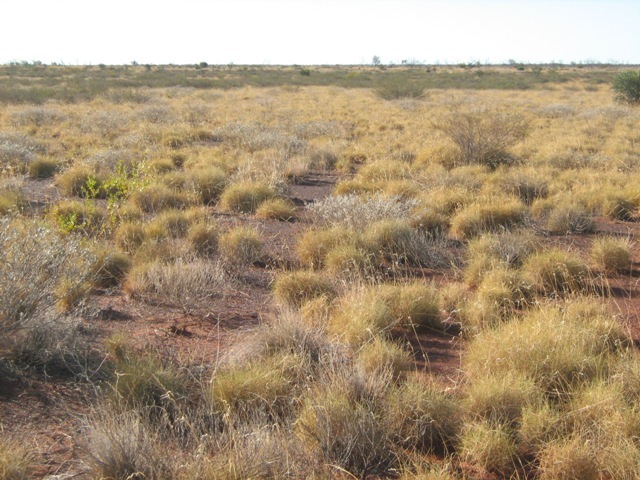 View to north of confluence