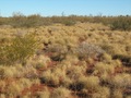 #3: View to south of confluence