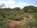 #3: View from the confluence, looking east