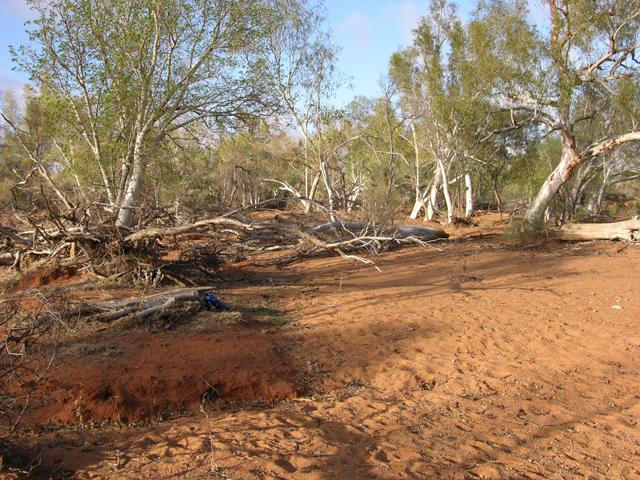 View of the confluence looking south