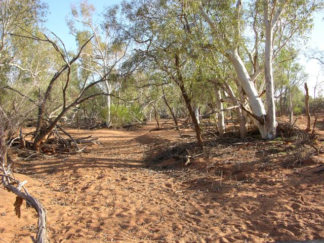 View from the confluence looking north