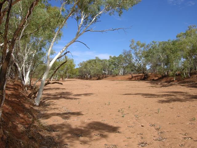 A view of the adjacent Winmar Creek, typical of many in the area