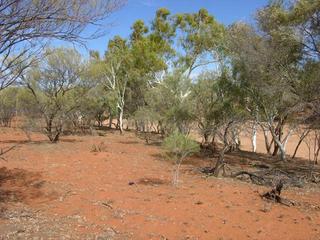 #1: View of the confluence looking south-east