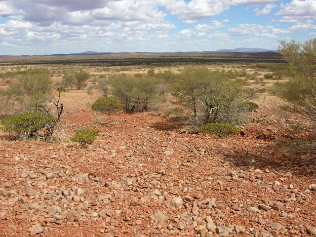 View from the confluence looking south (Mt Augustus in the distance)