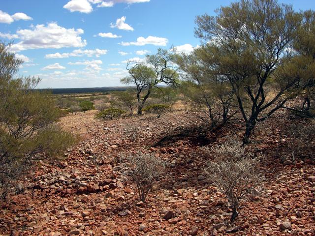 View from the confluence looking west