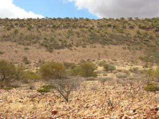 #1: View of the confluence looking north