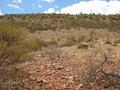 #2: View from the confluence looking north