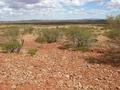 #4: View from the confluence looking south (Mt Augustus in the distance)