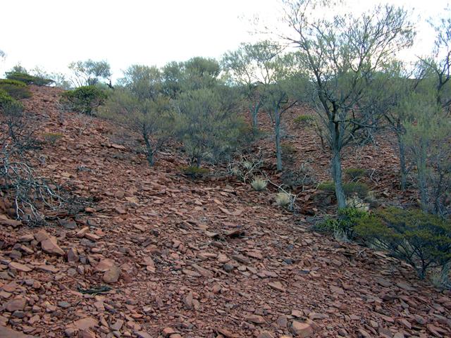 View of the confluence looking east