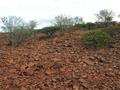 #4: View from the confluence looking south