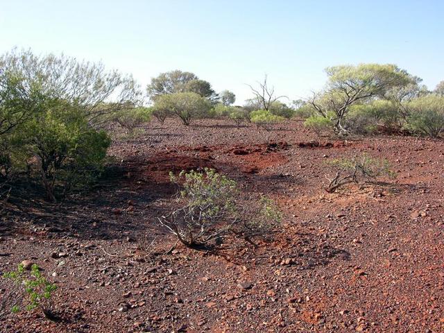 View from the confluence looking north