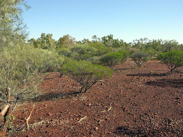 View from the confluence looking south