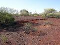 #2: View from the confluence looking north