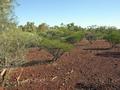 #4: View from the confluence looking south