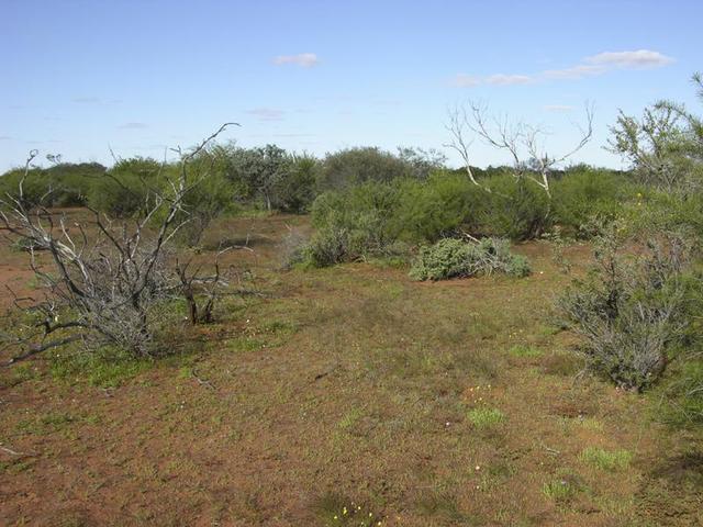 View from the confluence, looking east