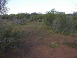 #1: View of the confluence, looking east