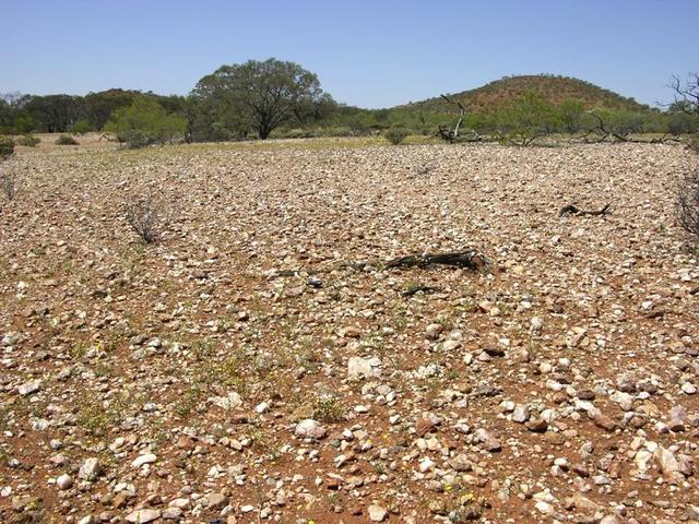 View of the confluence looking east