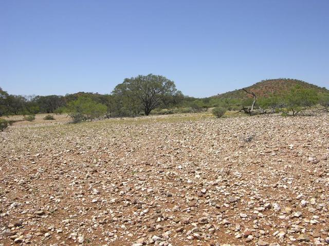 View from the confluence looking east