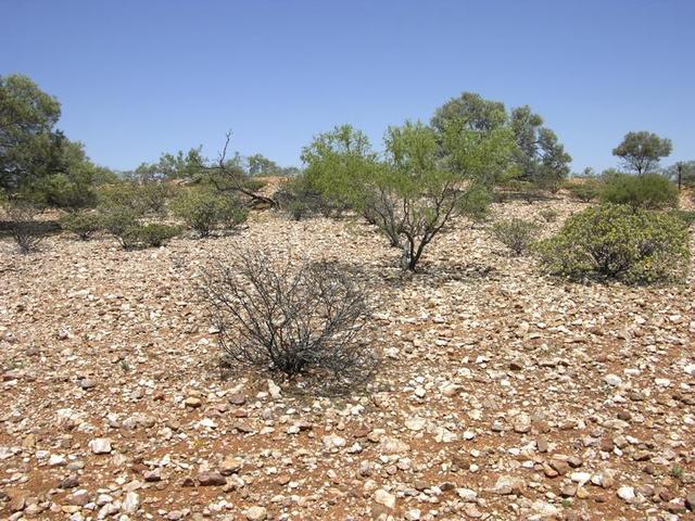 View from the confluence looking south