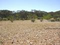 #2: View from the confluence looking north