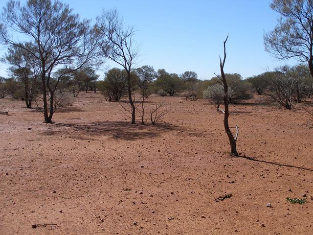 Looking North from the confluence