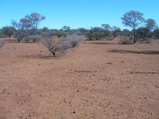 #1: View of the confluence site