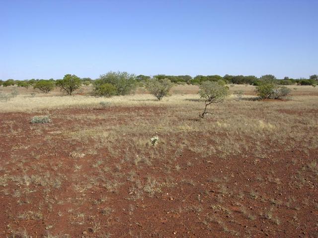 View from the confluence looking south