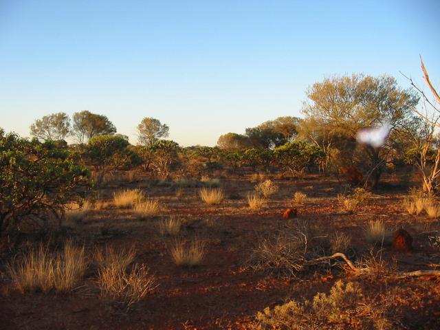 Looking north