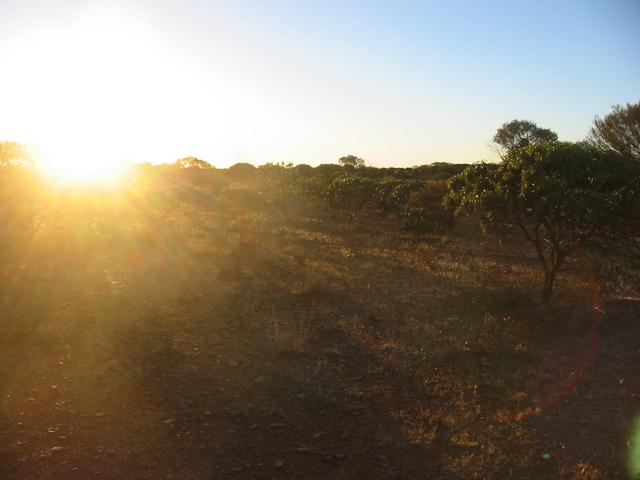 Looking west into the setting sun