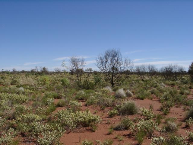 View south from confluence