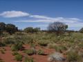 #3: View north from confluence