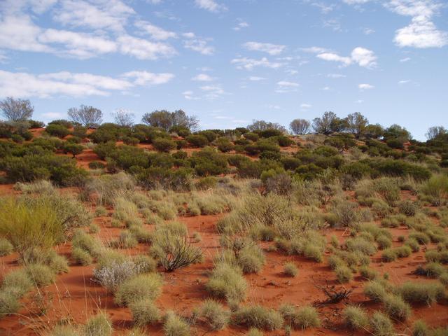 Countryside to the north