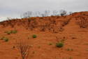 #5: Looking West From Confluence